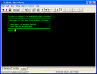 Sample VT100 terminal emulation screen
